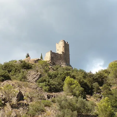 Le Relais De La Cavayere * Carcassonne