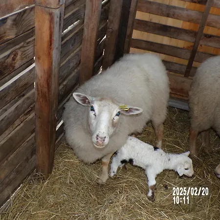 Le Relais De La Cavayere * Carcassonne