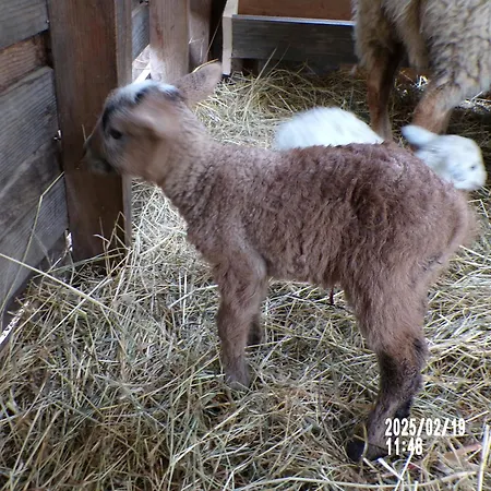 Le Relais De La Cavayere Prázdninový dům