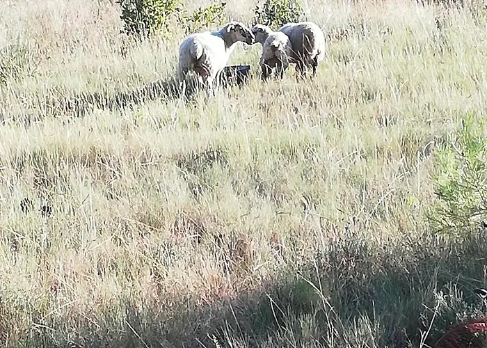 Tatil Evi Le Relais De La Cavayere Carcassonne