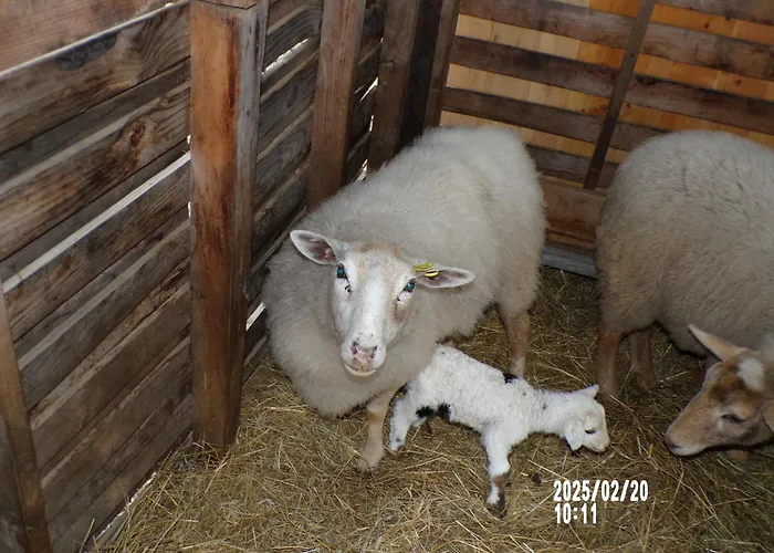 Le Relais De La Cavayere * カルカソンヌ