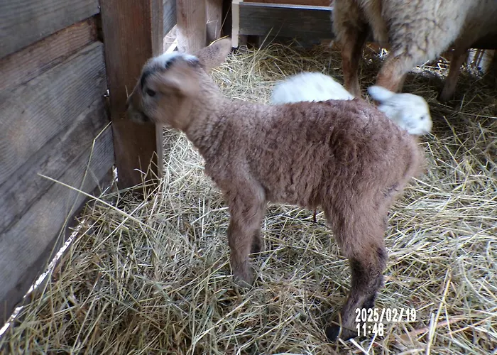 Le Relais De La Cavayere 別荘